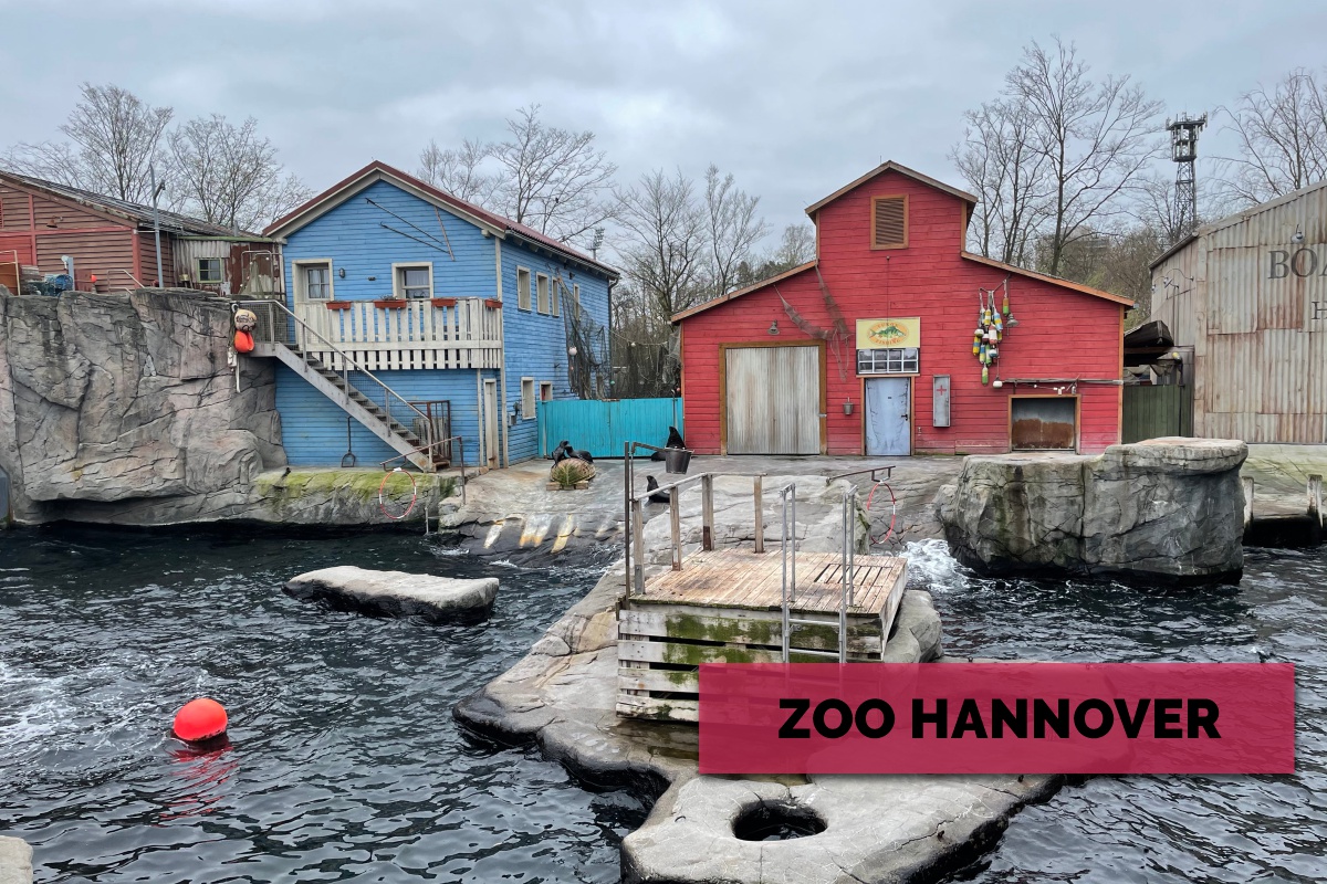 foto-zoo